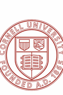 Ivy League Miseducation